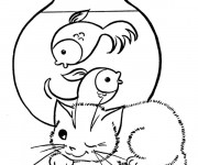 Coloriage Chat observe les poissons