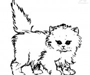 Coloriage Chat Russe