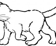 Coloriage Chaton en ligne