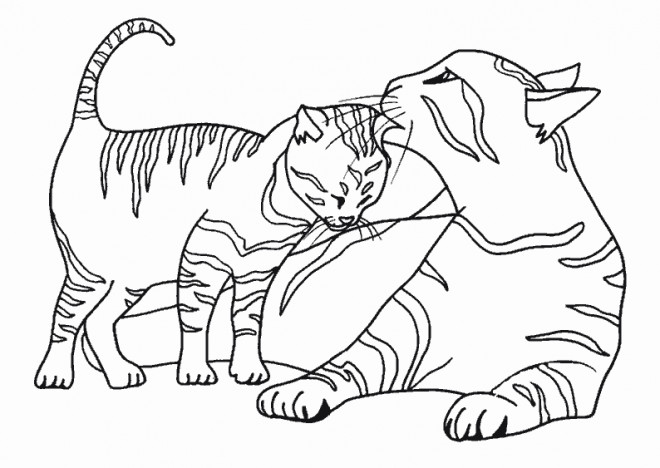 Coloriage Chaton Et Sa Mère Dessin Gratuit à Imprimer