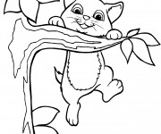 Coloriage Chatons joue sur l'arbre