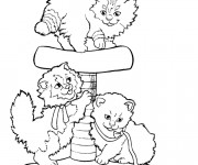 Coloriage Chatons s'amusent &agrave; la maison