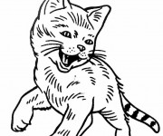 Coloriage Chatton heureux