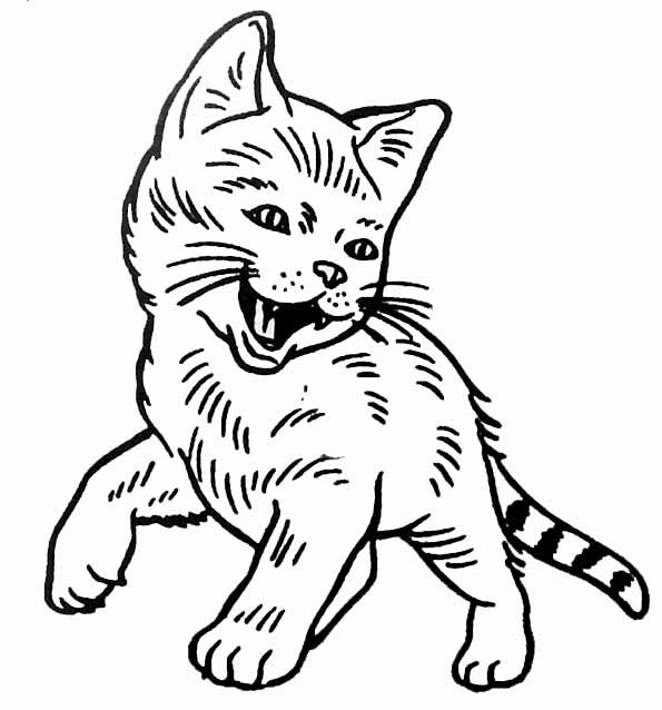 Coloriage Chat Gratuit A Imprimer Liste 40 A 60 Coloriage Chat Gratuit A Imprimer Liste 40 A 60
