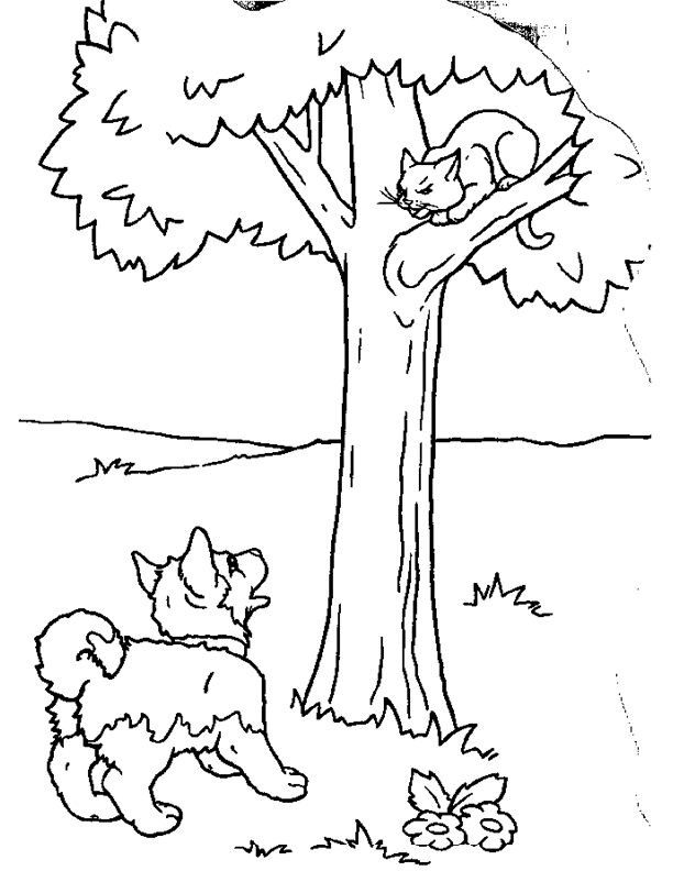 Coloriage Chien et chat dessin gratuit à imprimer