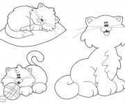 Coloriage La famille Chat