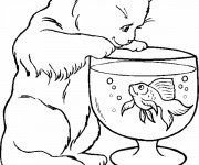 Coloriage Le chat et le poisson