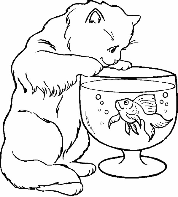 Coloriage Le Chat Et Le Poisson Dessin Gratuit à Imprimer