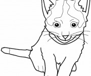 Coloriage Le petit Chat facile
