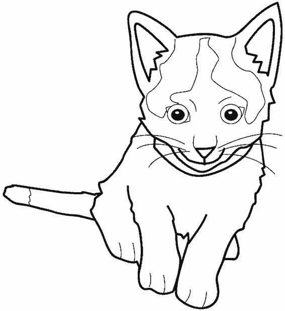 Coloriage Le Petit Chat Facile Dessin Gratuit A Imprimer Coloriage Le Petit Chat Facile Dessin Gratuit A Imprimer
