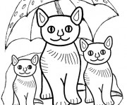 Coloriage Les chats sous la parapluie