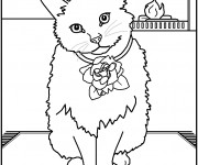 Coloriage Un Chat adorable