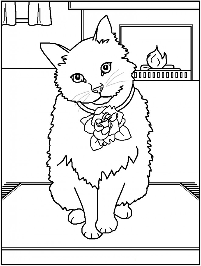 Coloriage et dessins gratuits Un Chat adorable à imprimer