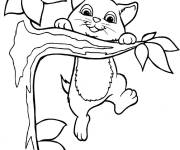 Coloriage Chaton accroch&eacute; &agrave; une branche