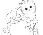 Coloriage Chaton comme un ver