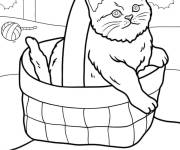 Coloriage Chaton dans un panier r&eacute;aliste