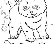 Coloriage Chaton jouant dans l'herbe
