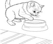 Coloriage Chaton pr&egrave;s du bol