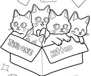Coloriage Chatons en bo&icirc;te pour adoption