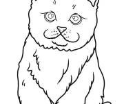 Coloriage Illustration de chaton réaliste