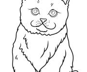 Coloriage Illustration de chaton r&eacute;aliste