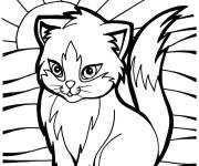 Coloriage Le chaton se r&eacute;veille