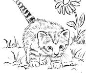 Coloriage Le petit chat joue dans le jardin
