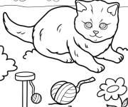 Coloriage Le petit chaton qui s'amuse bien dans le jardin