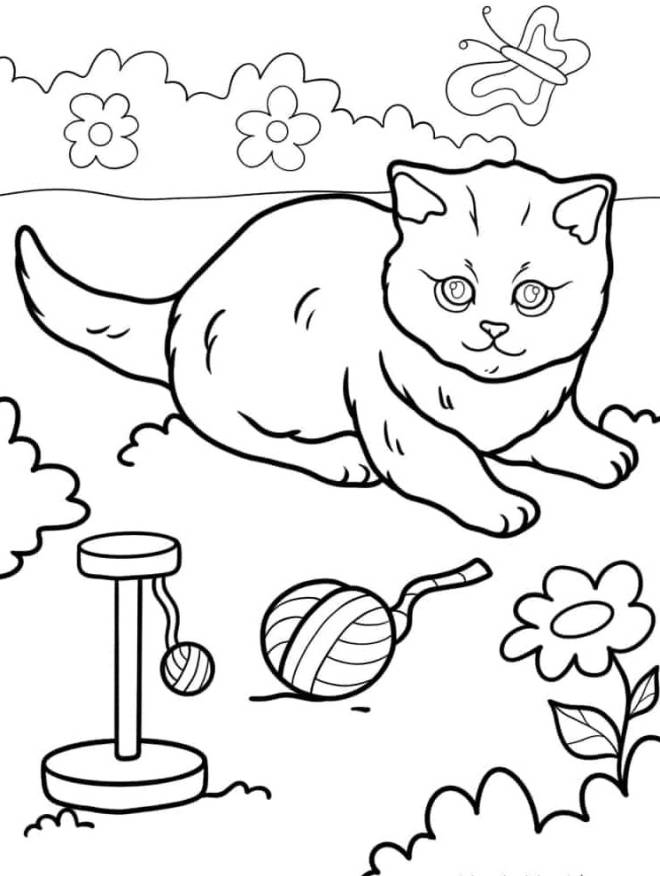 Téléchargement gratuit de coloriages des petits chats