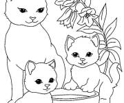 Coloriage Mère chat avec ces petits chatons