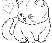 Coloriage Petit chaton imprimable