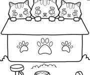 Coloriage Trois chatons sur le toit de la maison