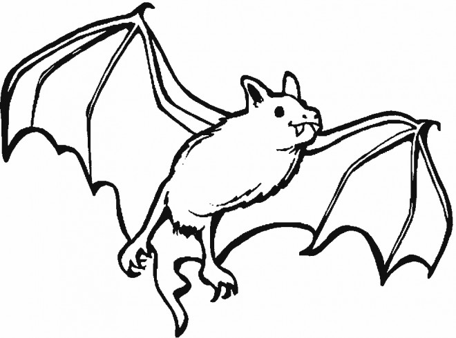 Dessiner Une Chauve Souris