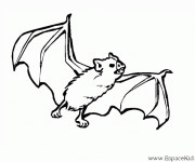 Coloriage et dessins gratuit Chauve-souris dessin à imprimer