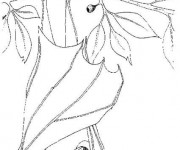 Coloriage Chauve-souris fermant ses ailes