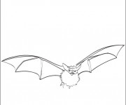 Coloriage Chauve-souris qui vole