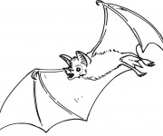 Coloriage Chauve-souris r&eacute;aliste
