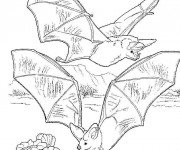 Coloriage Chauves-souris au crayon