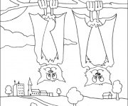 Coloriage et dessins gratuit Chauves-souris inversés à imprimer