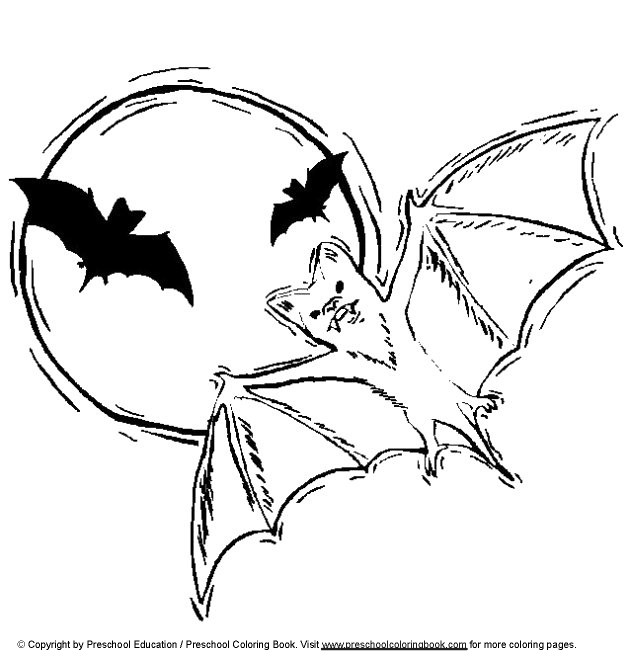 Coloriage Chauvesouris gratuit à imprimer liste 20 à 40