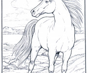 Coloriage Cheval à la crinière dans le vent