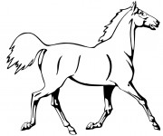 Coloriage et dessins gratuit Cheval au trot à imprimer