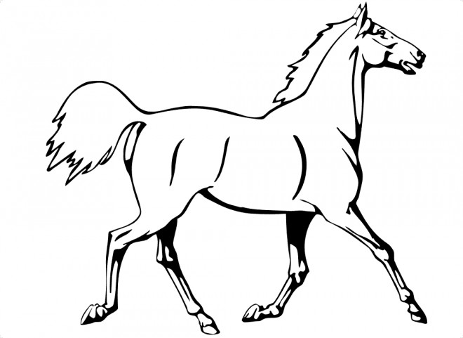 Coloriage Cheval Au Trot Dessin Gratuit à Imprimer