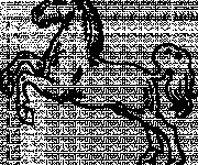 Coloriage Cheval cabr&eacute; sur ordinateur