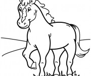 Coloriage Cheval content