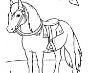 Coloriage et dessins gratuit Cheval dans la nature à imprimer