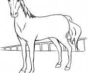 Coloriage Cheval de course dessin en ligne