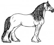 Coloriage et dessins gratuit Cheval de trait Ardennais à imprimer