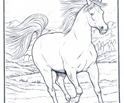 Coloriage et dessins gratuit Cheval dessin noir et blanc à imprimer