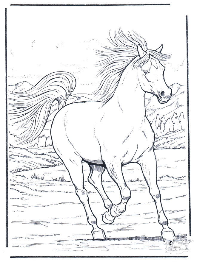 Coloriage Cheval Dessin Noir Et Blanc Dessin Gratuit à Imprimer